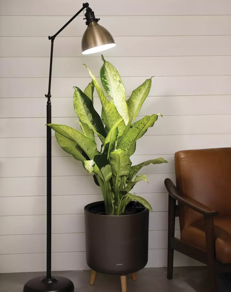 اصلی ترین تفاوت لامپ رشد گیاهان با لامپ معمولی چیست؟
