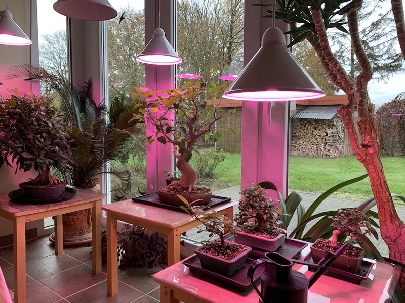 بهترین نوع و رنگ لامپ LED برای رشد گیاهان کدام‌اند؟